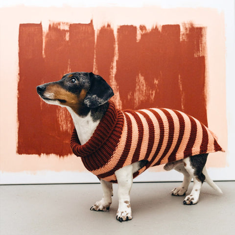 Sweater Helsinki