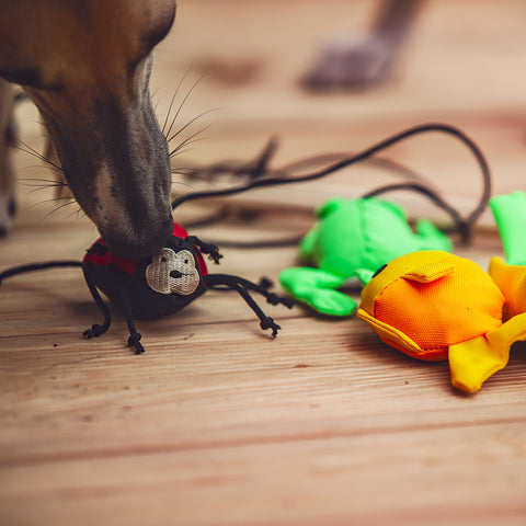 Cat Nip Toys