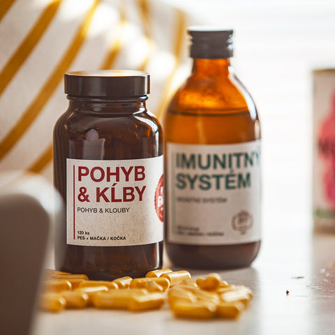 Pohyb & Klouby