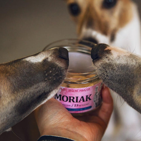 Moriak – RAW
