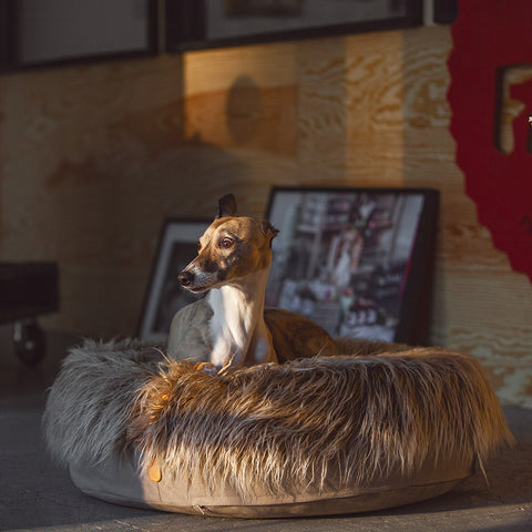 Pouf Yeti matrac
