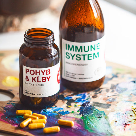 Pohyb & Klouby