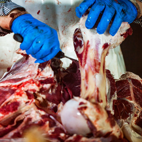 BIO Kravina – Vývar