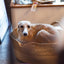Dog Basket Cuddly