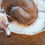 Dog Basket Cuddly