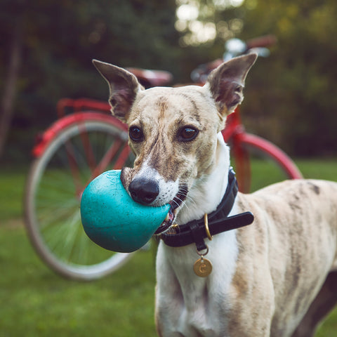 Natural Rubber Ball